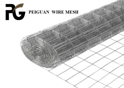 China Malla de alambre soldada con autógena galvanizada granja ligera 50.8mmx50.8m m en venta