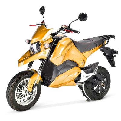 China Customized unisex off-road electric scooter 60v 20ah lithium battery removable electric motorcycle for sale