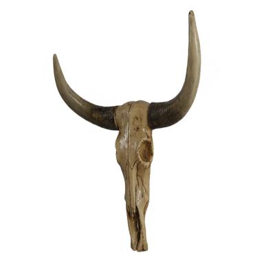 China China Brown Resin Bull Skulls Large Wall Decor Bison Skulls for sale