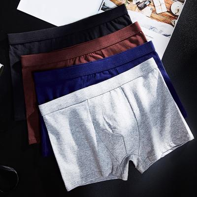 China Plus Size Mens Boxer Shorts 2xl 3xl 4xl Moisture Wicking Cotton Classics Top Tank for sale