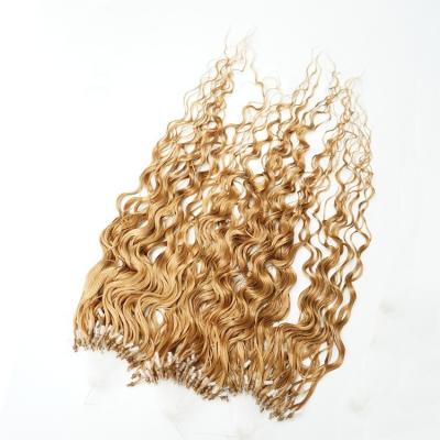 China Jerry Curl Cheap And High Quality Afro Kinky Curly Link Extensions Raw Natural Kinky Curly Micro Loop Hair Extensions for sale