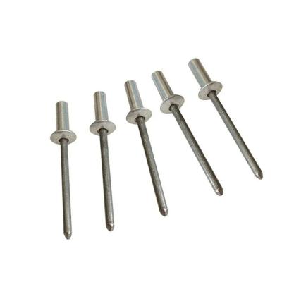 China Customizable designed Din7337 stainless steel domed blind head blind rivet plugged sealing waterproof rivets for sale