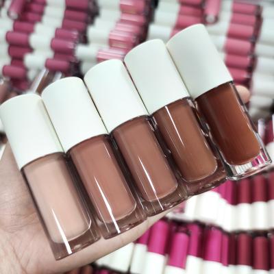 China Cruelty free vegan pigment free sample high matte lip gloss waterproof change tube lip gloss for sale