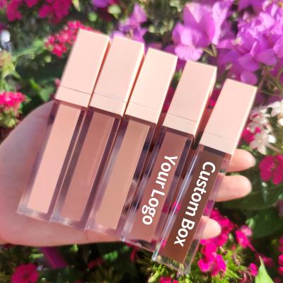 China Waterproof Vegan Cruelty Lip Gloss Free Vendor Clear Private Label Lip Gloss for sale