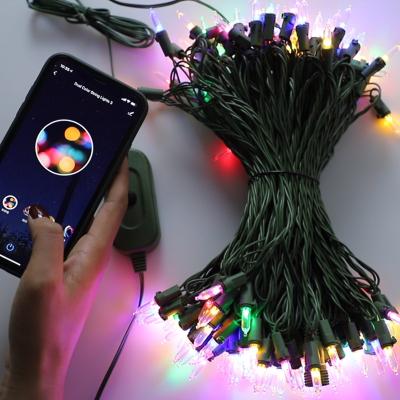 China App Controlled Multicolor LED Lights String Light RGB WIFI LED Colors Controlled Christmas Lights With Green Cable for sale