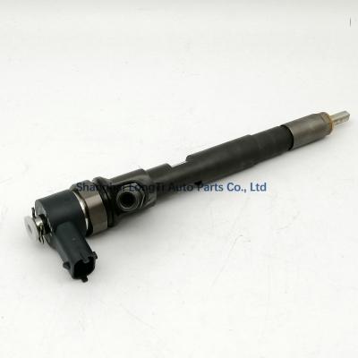 China Diesel injector 0445110301 0445110301 for sale