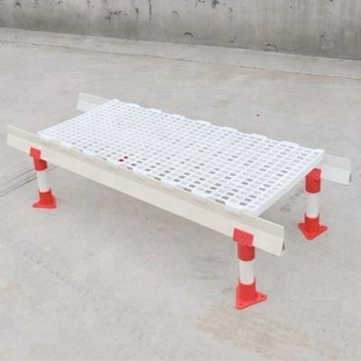 China Eco - Friendly Equipment Poultry Farm Plastic Chicken Slat Flooring for sale