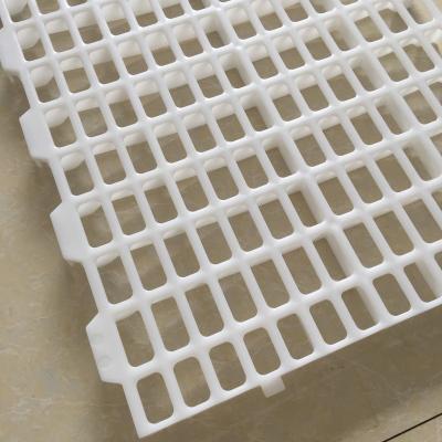 China High Quality Poultry Farm Poultry Farm Equipment Breeding Plastic Slat Floor For Chicken for sale