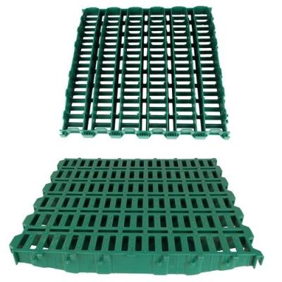 China Durable Sheep Free Sample Plastic Goat Sheep Flooring For Poultry Farming for sale