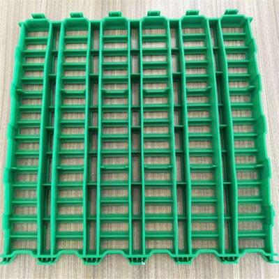 China 2021 Hot Selling Good Quality Sheep Goat Slat Flooring Goat Farm Equipment for sale