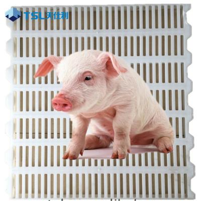 China Easily Assembled Plastic Slat Floors For Pigs Or Pig Plastic Flooring for sale