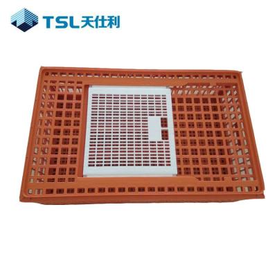 China Easily Assembled Plastic PP Chicken Transport Crates for sale