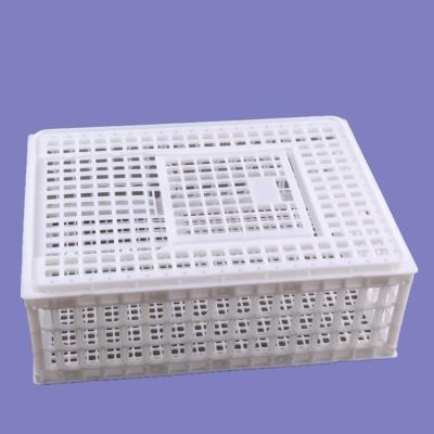 China Easily Assembled Live Chicken Transport Plastic Cages For Sale for sale