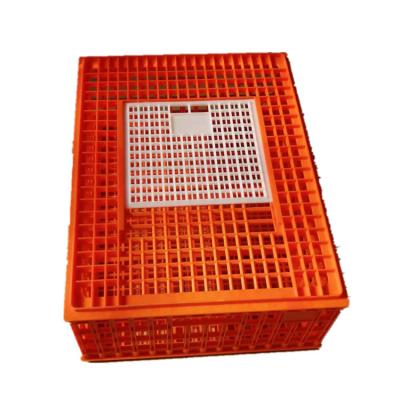 China Easily Assembled Cheaper Plastic Transport Chicken Cage for sale