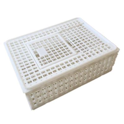 China Easily Assembled Durable Chicken Transport Plastic Cage for sale