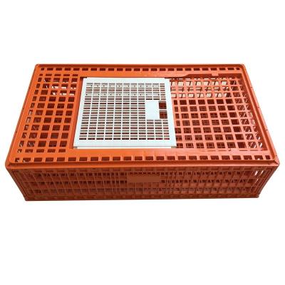 China Save Space Good Quality Chick Crate Chicken Transport Crate for sale