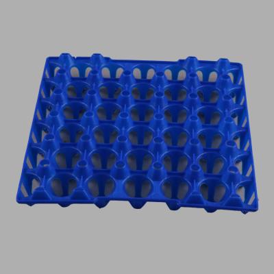 China Durable plastic incubator tray for eggs for sale