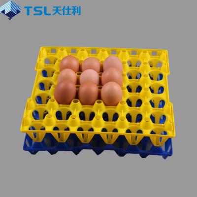 China Recyclable Cheaper Plastic Incubator Egg Tray For Sale for sale