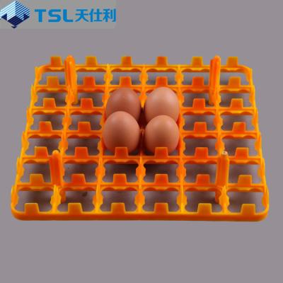 China Recyclable Cheaper Plastic Incubator Egg Tray For Removal for sale