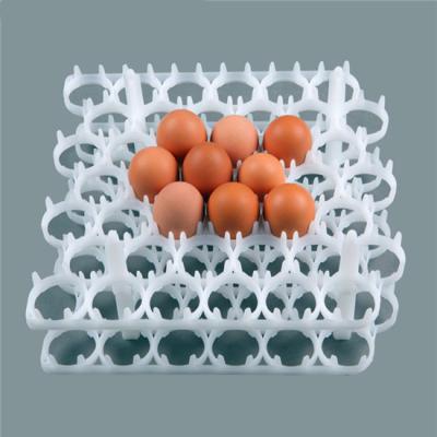 China Recyclable Cheaper Plastic Egg Tray Incubator for sale