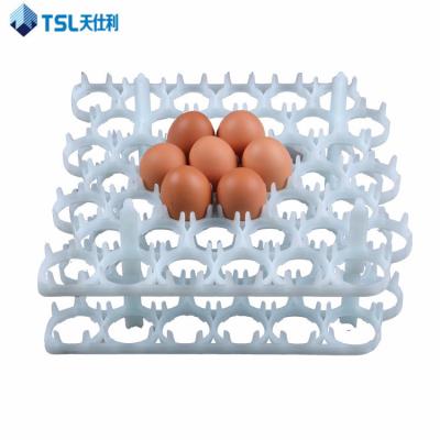 China Recyclable White PP Material Cheap Plastic Egg Tray Anti - Corrosion Price for sale