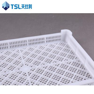 China Eco - Friendly Small Type PE Material Plastic Tray For Fruit for sale