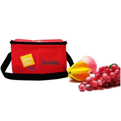 China Custom 6 Boxes Bag Cooler Low Cost Easy Carry Oxford Lunch Box Promotional Bag for sale