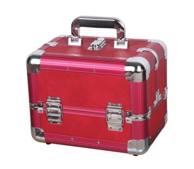 China Train Aluminum Beauty Case Hand-Carry Make Up Case for sale