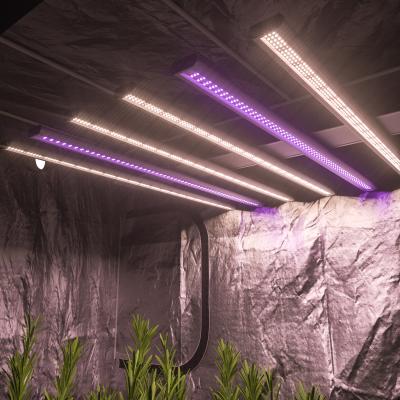 China Sow Starting Led Grow Lights Royal Blue Led Grow Light Meanwell 600w Spectrum Grow Lights 2021 for sale