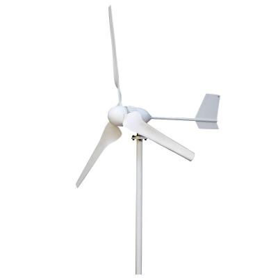 China Fiberglass Reinforced High Quality Compound Axis 1000w 24V 48V Horizontal Wind Generator for sale