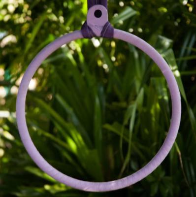 China 2022 NEW Mini Hoop 100% Stainless Steel Mini Lyra Aerial Circle Yoga Circle For Home Fitness Aerial Dance for sale