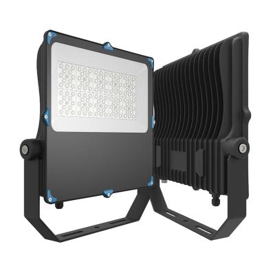 China Garage 50-300w SMD2835 IP66 LED Spotlight Focos SMD2835 LED Floodlight Slim Food Light Garden Lighting for sale