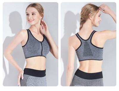 Chine Soutien-gorge capitonné personnalisable 250g de Front Sports Bra Ladies Exercise de fermeture éclair à vendre