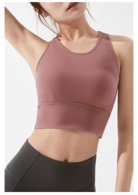 Chine Soutien-gorge serré 3xl 230g de sports de Mesh Back High Impact Womens d'ajustement à vendre