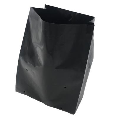 China Hydroponisch groeisysteem Plastic Grow Bags Soft Generate Peony Flower Nursery Bag Te koop