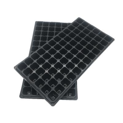 China 105 Cavity PS 1mm Plastic Seedling Tray 5cm Deep Vegetable Growing Trays for sale