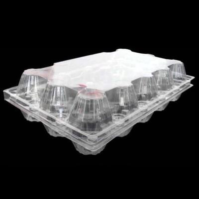 China 15packs beschikbaar Dienblad 71mm Vierkant Ei Tray Holder van het HUISDIEREN Duidelijk Plastic Ei Te koop