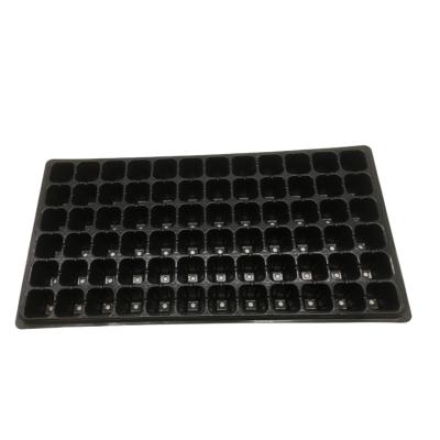 China 72 Cells Nursery Tray Plastic Seedling Tray Mango Plant Strawberry Seedling Trays for sale