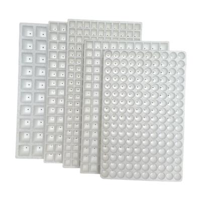 Cina Foam Seedling Tray 50 Holes , 120 Holes , 160 Holes , 200 Holes EPS Material Customization in vendita