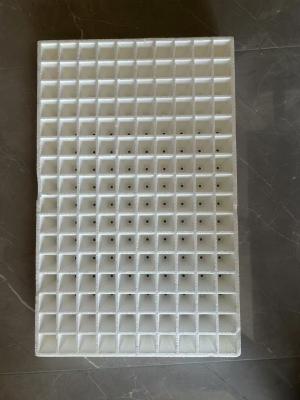 China Foam seedling tray tray Vegetable seedling tray hydroponic tray tray White foam traypepper seedling tray wholesale floating foam board water planting seedling tray thickened fruit and vegetable pepper en venta