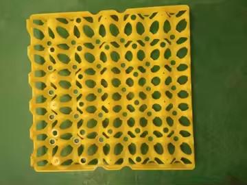 China Eggs Colorful yellow plastic blister thermoformed vacuum plate egg packaging Egg transport 30 egg packaging for sale