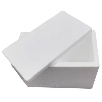 Cina Cold chain transportation foam box custom insulation box custom fragile goods packaging box in vendita