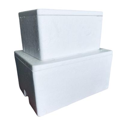 China EPS incubator cold chain transport box foam box customization Te koop