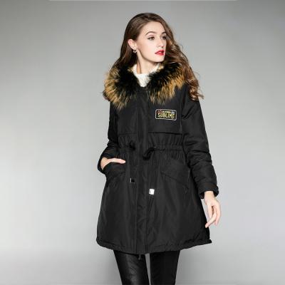 China Durable Parka Coat Ladies Shiny Folding Women Duck Down Jacket for sale