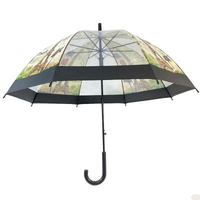 China Minimalist Ovida Umbrella Bird Cave Umbrella Rain and Sun Plastic Bubble Dome Clear Clear Umbrella for sale