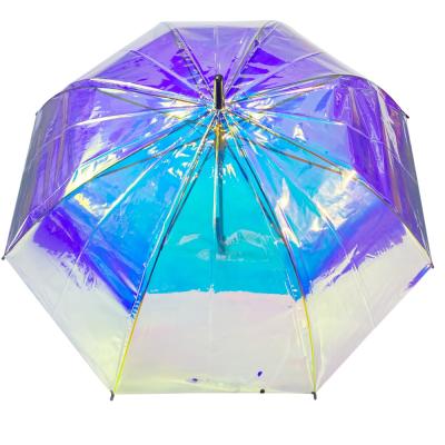 China Hot Sale Ovida POE Minimalist Dome Shape Clear Transparent Umbrella Plastic Umbrella for sale