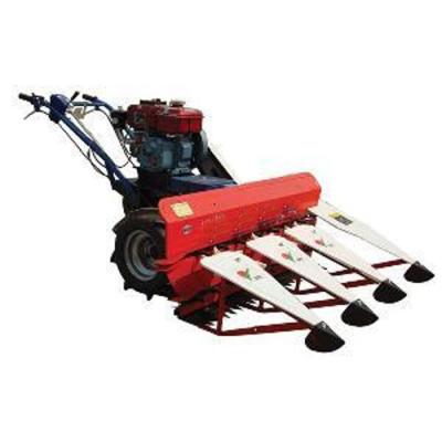 China hot sale paddy rice harvest machine with factory for sale