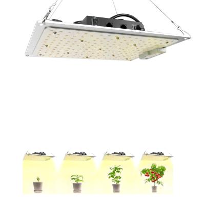 China Seed Planting Indoor Plants Sowing Flowering Full Spectrum MN1000 LED Grow Light Dimmable High PPFD With Daisy Chain for sale