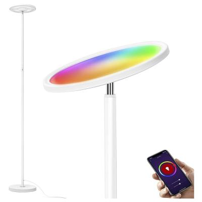 China Modern Atmosphere CCT Floor Lamp Led Light USB Led Rechargeable Emergencyfloor RGB Adjustable Led Floor Lamp for sale