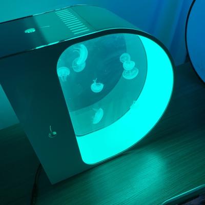 China Fabulous design viable rounded jellyfish aquarium for all-in-one display colorful jellyfish aquarium for sale